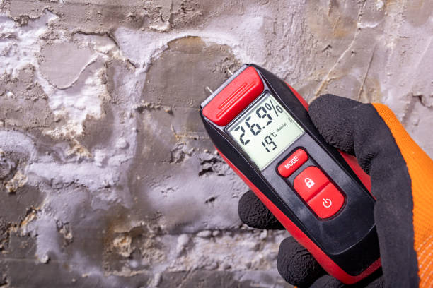 Best Commercial Mold Removal  in Minorca, LA